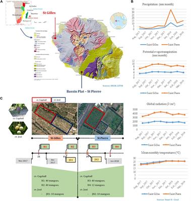 Terroir Is the Main Driver of the Epiphytic Bacterial and Fungal Communities of Mango Carposphere in Reunion Island